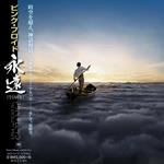 Endless River (Limited Edition)