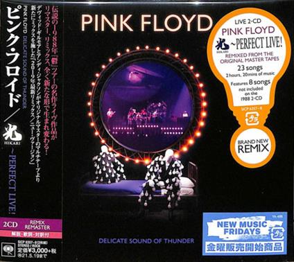 Delicate Sound Of Thunder - CD Audio di Pink Floyd