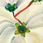 Marginalia 3 (Limited)