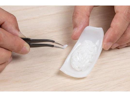 Sushi Squid Plastica Model Kit Model Kit Syuto Seiko