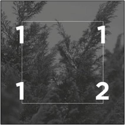 Eleventwelfth - CD Audio di Eleventwelfth