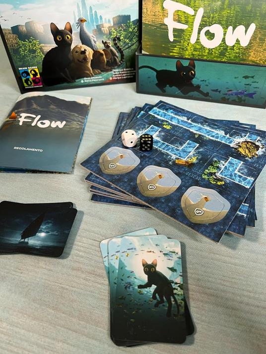 Flow. Gioco da tavolo - 4