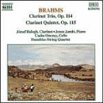 Trio con clarinetto op.114 - Quintetto con clarinetto op.115