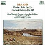 Trio con clarinetto op.114 - Quintetto con clarinetto op.115 - CD Audio di Johannes Brahms
