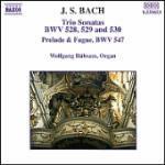 Sonate BWV528, BWV529, BWV530 - CD Audio di Johann Sebastian Bach,Wolfgang Rübsam