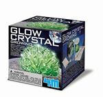 Science In Action/Glow Crystal Growing