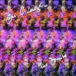 Promise (Japanese Reissue Edition) - SHM-CD di John McLaughlin