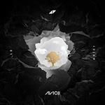 01 Avici (Japanese Edition)