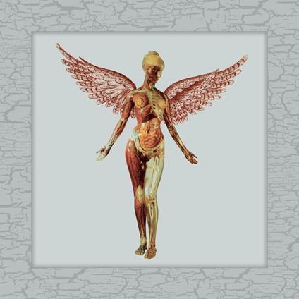 In Utero (30th Anniversary Super Deluxe Edition) - CD Audio di Nirvana