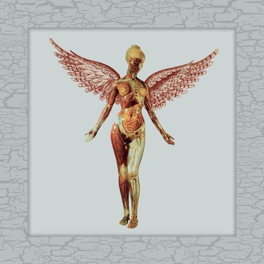 In Utero (30th Anniversary Super Deluxe Edition) - CD Audio di Nirvana