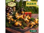 CASTLE I/T SKY FOX SQUIRREL ASST DISP (6 FIGURA STUDIO GHIBLI