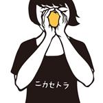 Nikaido Kazumi No Album