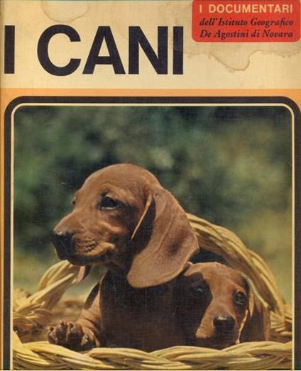 I cani - Adriano Torregrossa - copertina