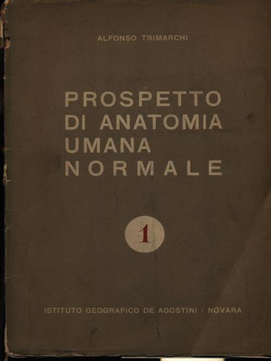 Prospetto di anatomia umana normale - Alfonso Trimarchi - copertina