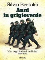 Anni in grigioverde