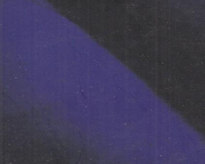 Diego Esposito. Blue outside. Ediz. italiana e inglese - Bruno Corà - copertina