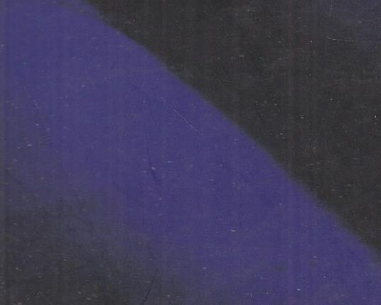 Diego Esposito. Blue outside. Ediz. italiana e inglese - Bruno Corà - copertina