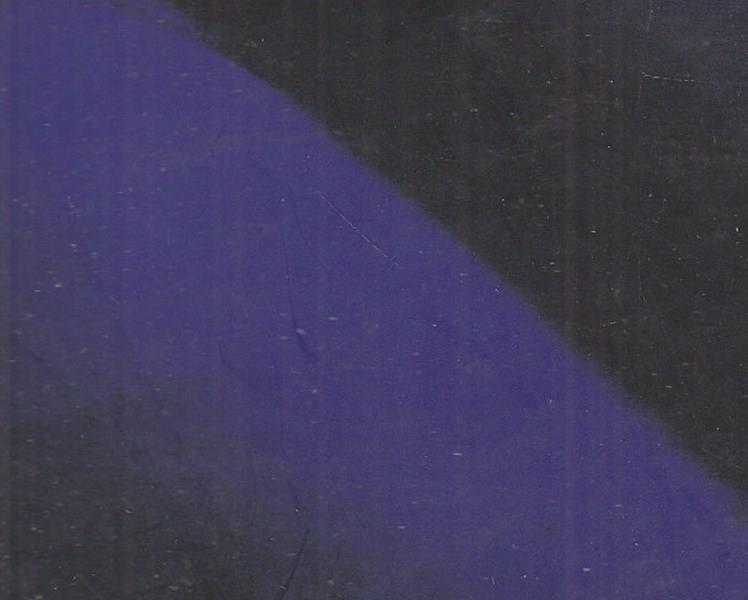 Diego Esposito. Blue outside. Ediz. italiana e inglese