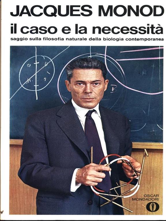 F.E.N. Libreria