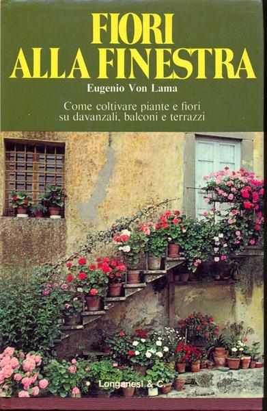 Fiori alla finestra