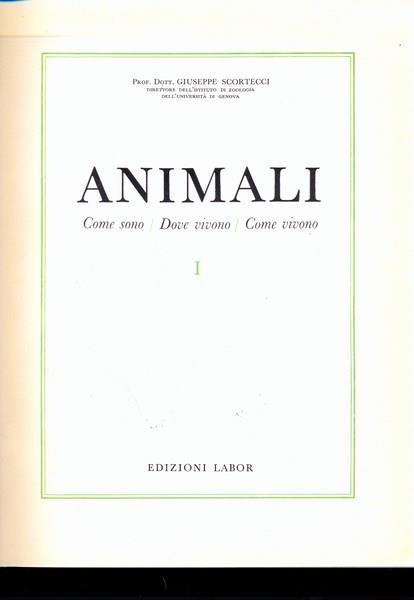 Animali - Giuseppe Scortecci - copertina