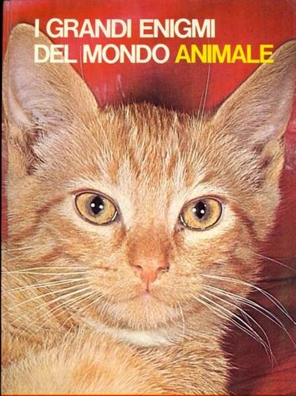 I grandi enigmi del mondo animale: gli animali domestici 2 - Yves Verbeek - copertina