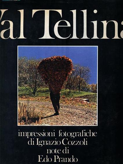 Val Tellina - copertina
