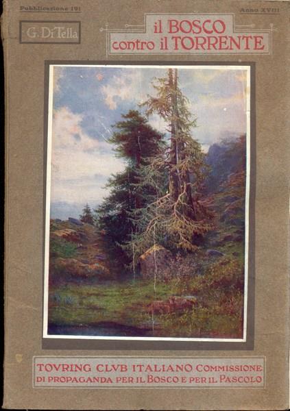 Il bosco contro il torrente