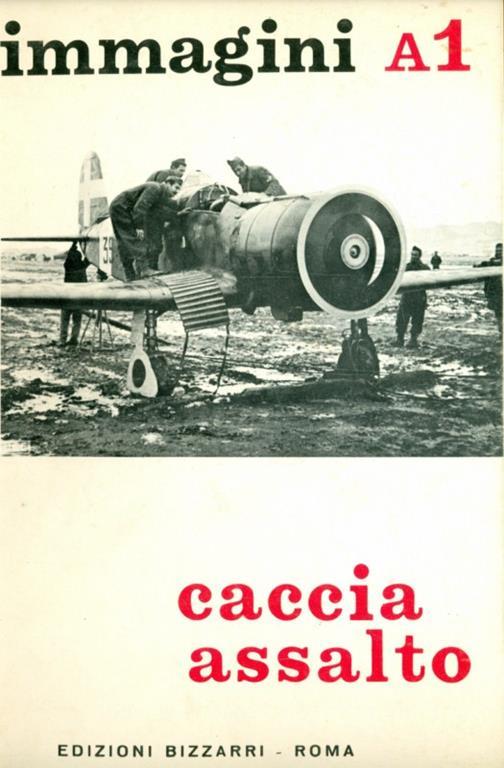 Dimensione cielo immagini A1 caccia assalto - copertina