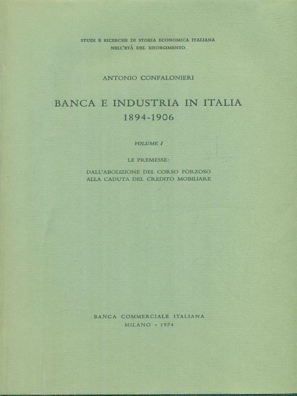 Banca e industria in Italia 1894-1906 Vol. 2