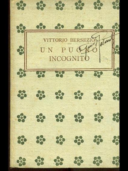 Un pugno incognito - Vittorio Bersezio - copertina