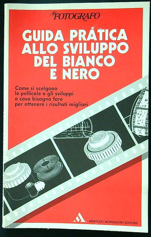 La pittura dell'Islam