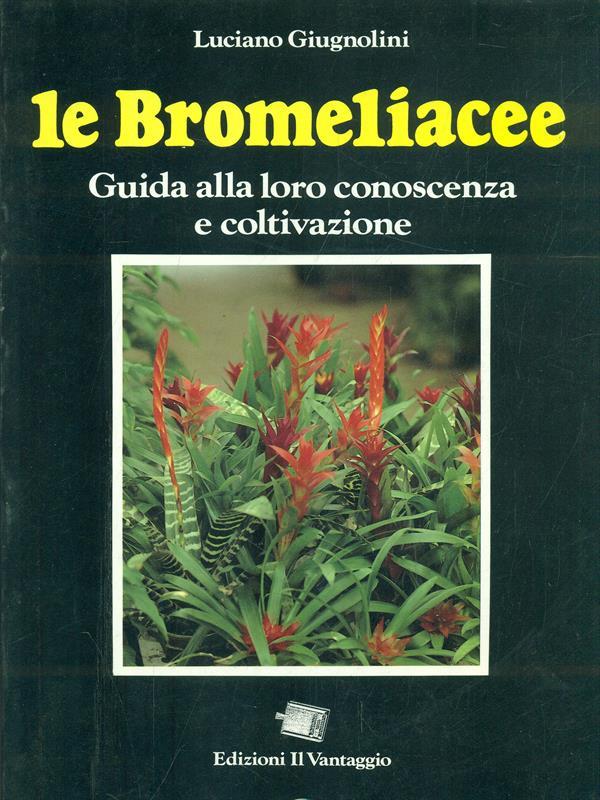Le bromeliacee