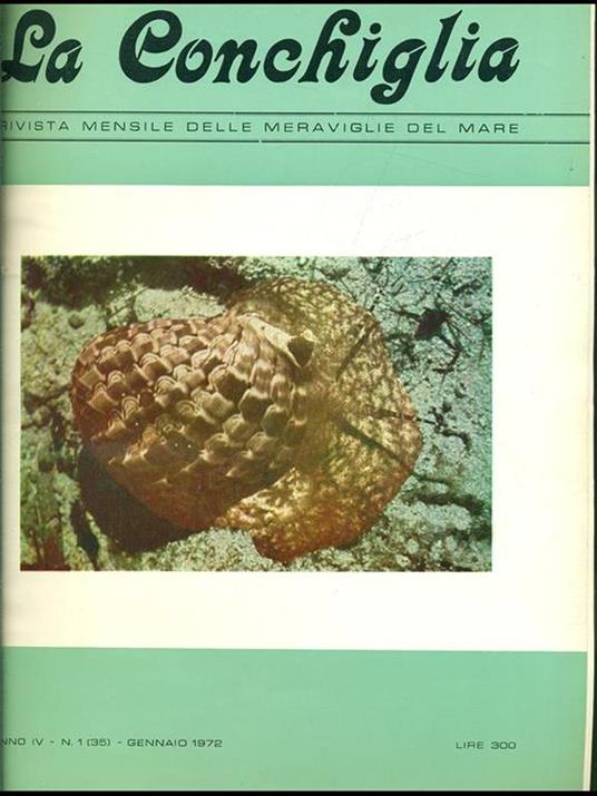 La conchiglia. 1972 - copertina