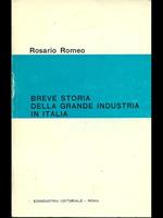 Breve storia dell'industria in Italia