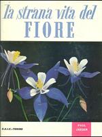 La stgrana vita del fiore