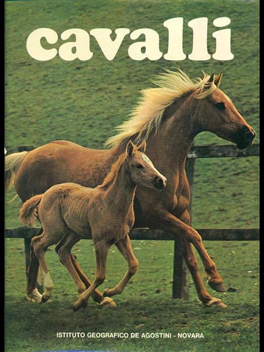Cavalli - copertina