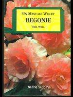Begonie