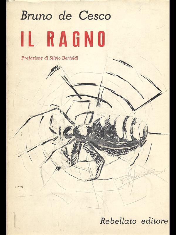 Il ragno