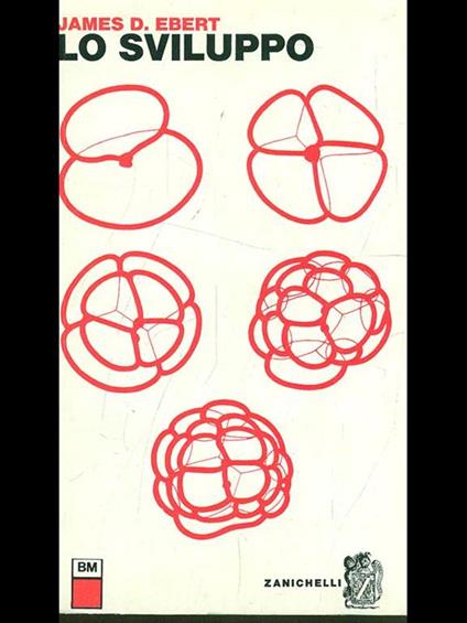 Lo sviluppo - copertina