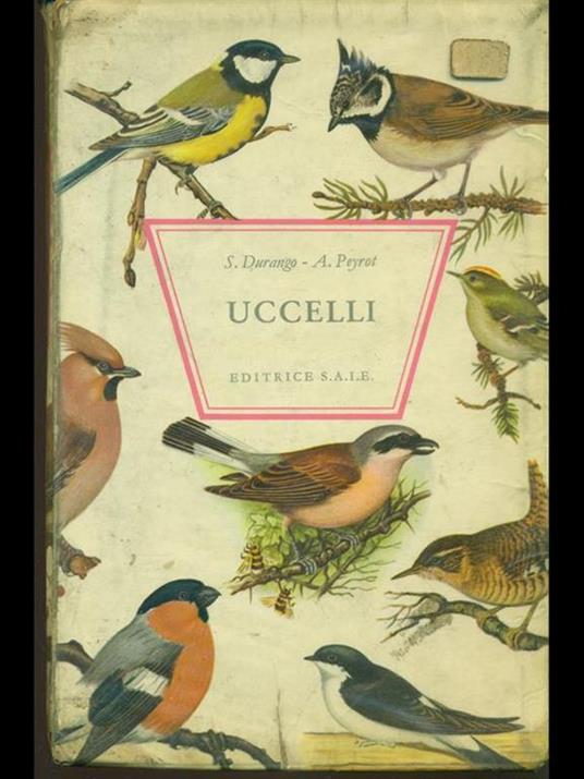 Uccelli - S. Durango,A. Peyrot - copertina