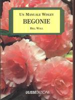 Begonie