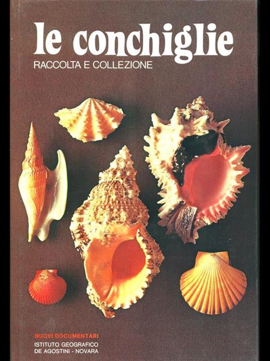 Le conchiglie raccolta e collezione - copertina