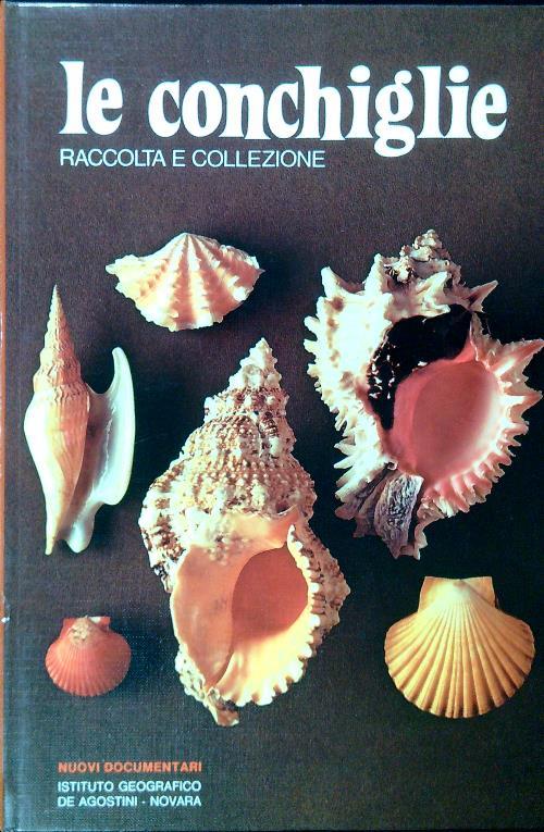 Le conchiglie raccolta e collezione