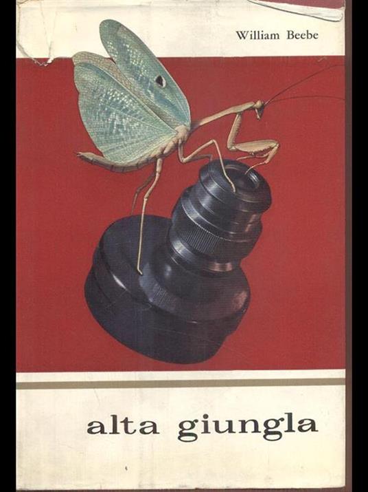 Alta giungla - William Beebe - copertina