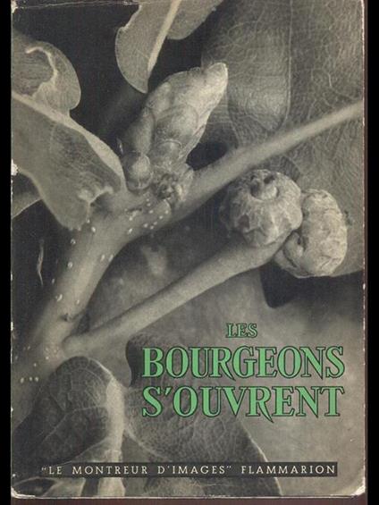 Les bourgeons s'ouvrent - copertina