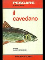 Il cavedano 