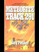 Meteorite Track 291