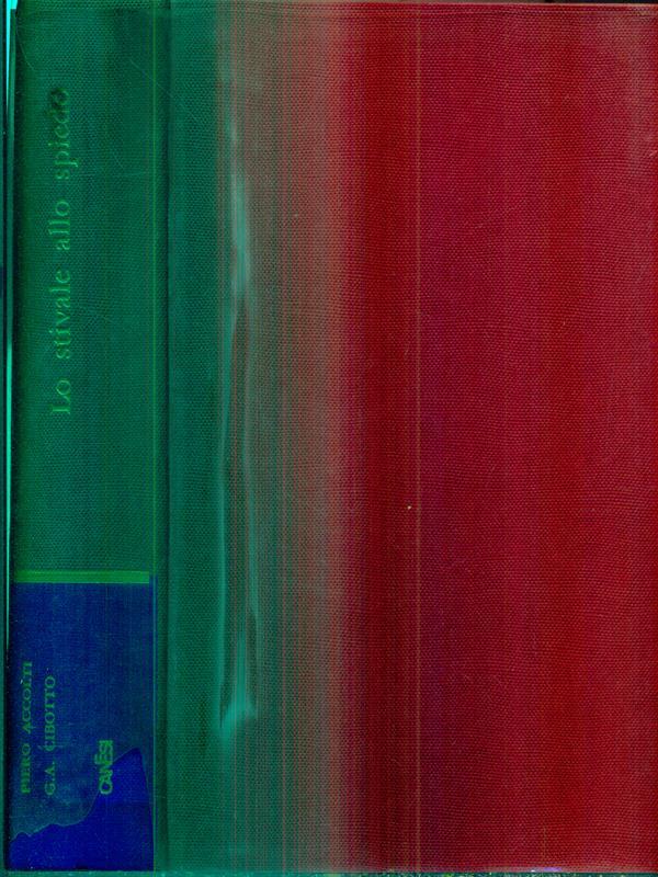 Lo stivale allo spiedo