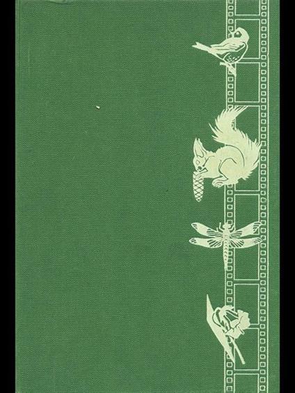 Fotografare la natura viva - Antonio Persico - copertina